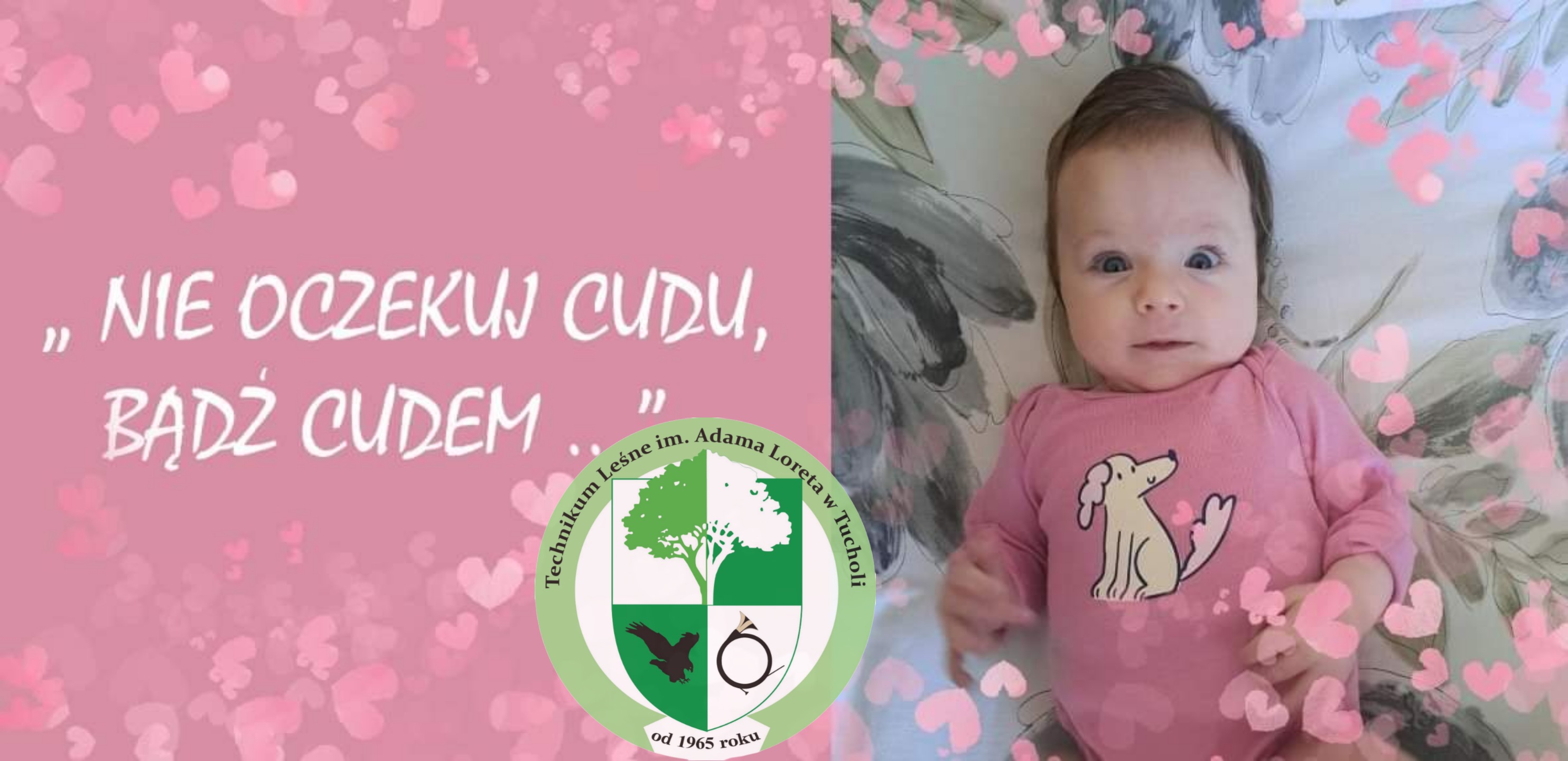 Technikum Leśne dla Natalki. Podjęli challenge