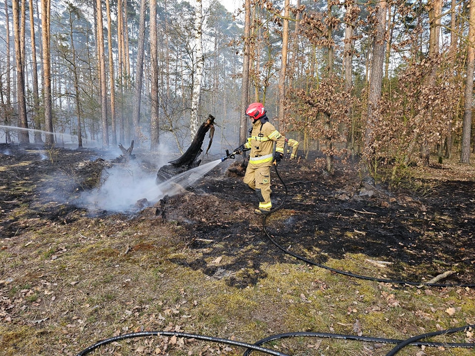 Pożar lasu w okolicach Tucholi – spłonęło 3000 m² ściółki
