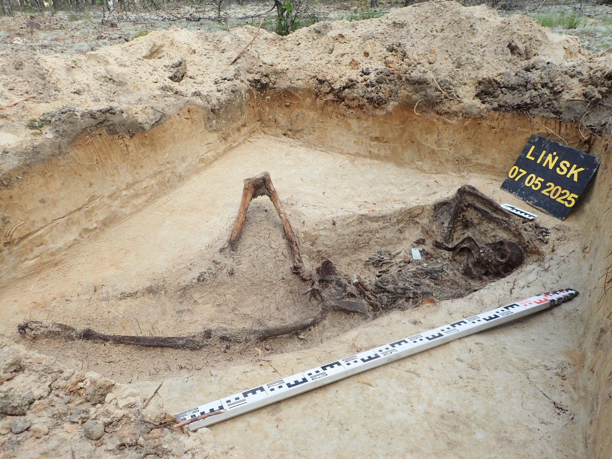 Ekshumacja w gminie Śliwice. Znaleziono szczątki żołnierza