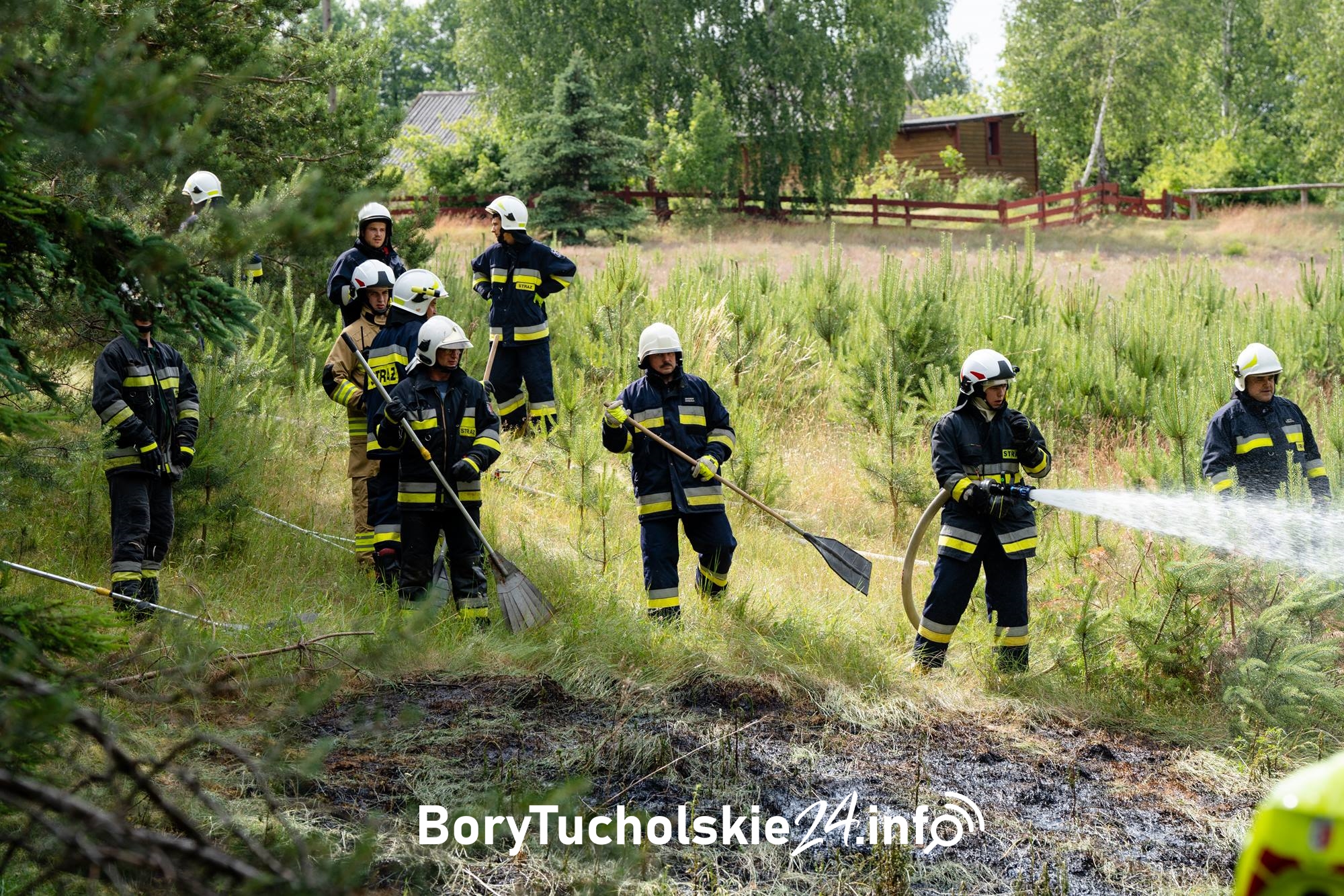Pożar ściółki leśnej w Linówku. Zagrożenie zwiększał silny wiatr (FOTO, WIDEO)