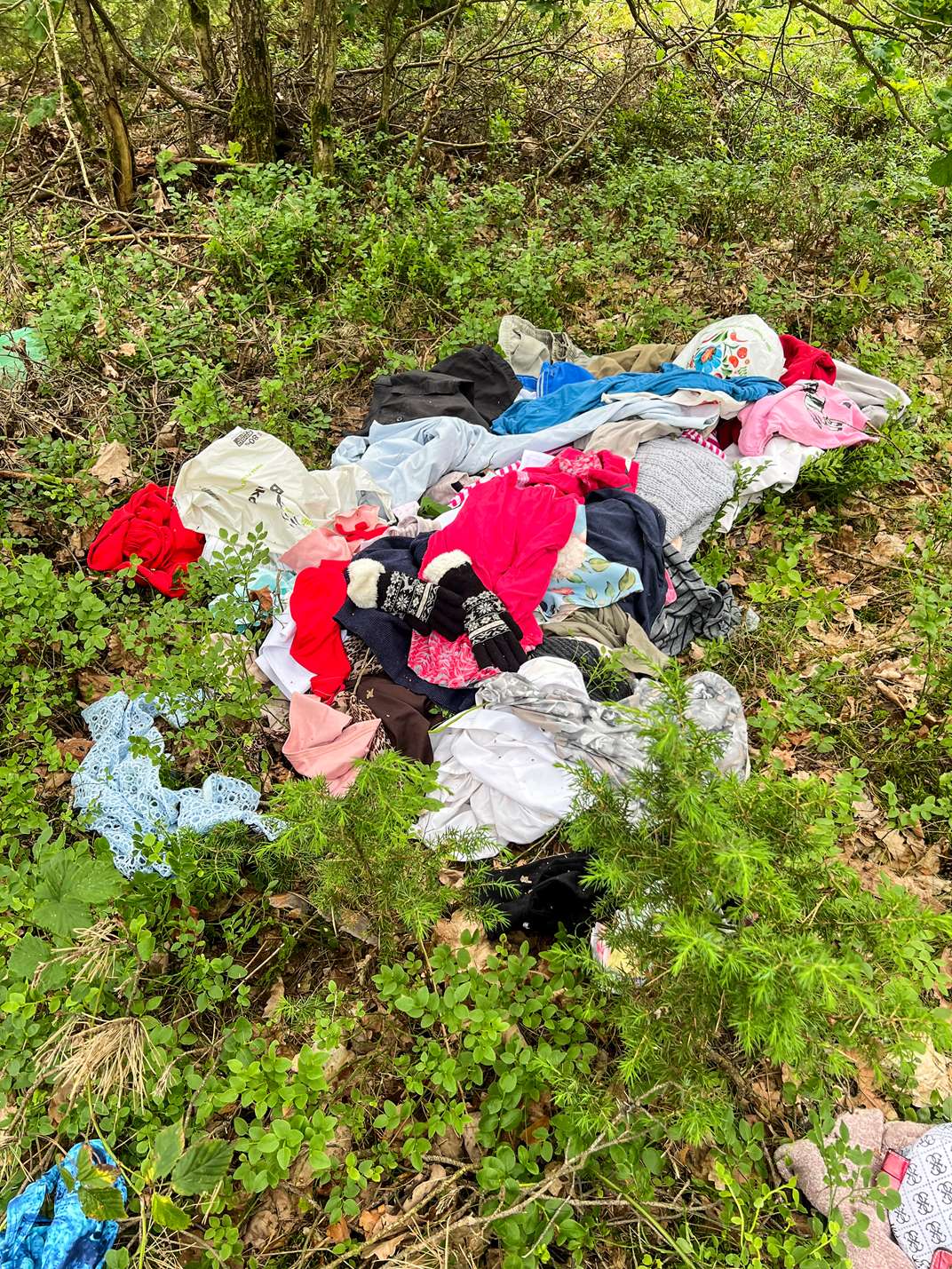 Śmieci w lesie. Ktoś wyrzucił ubrania i pampersy (FOTO)