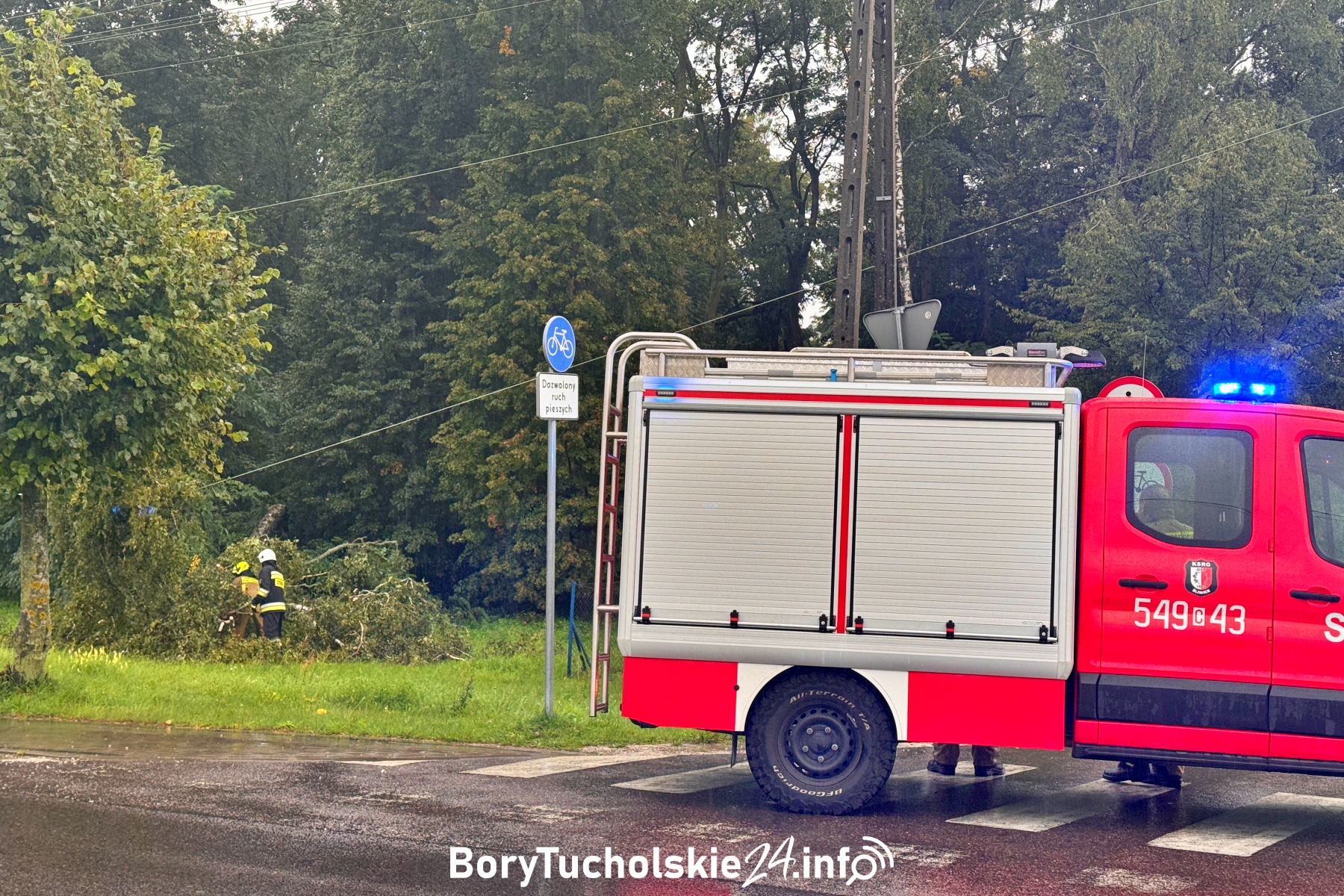 Zerwana linia energetyczna przy cmentarzu w Śliwicach