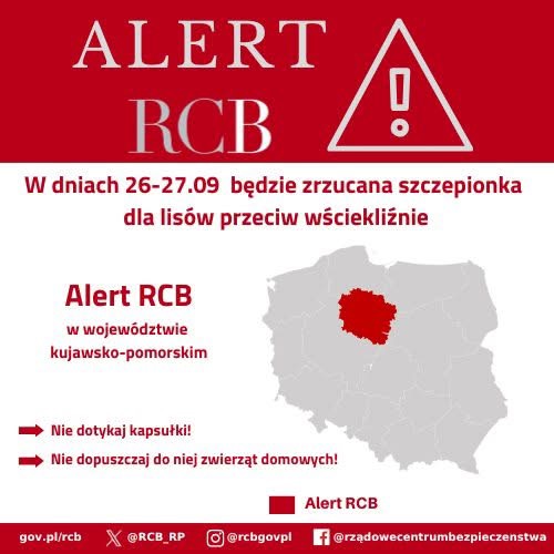 Szczepionki dla lisów w województwie kujawsko-pomorskim