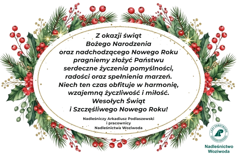 Życzenia świąteczne od Nadleśnictwa Woziwoda