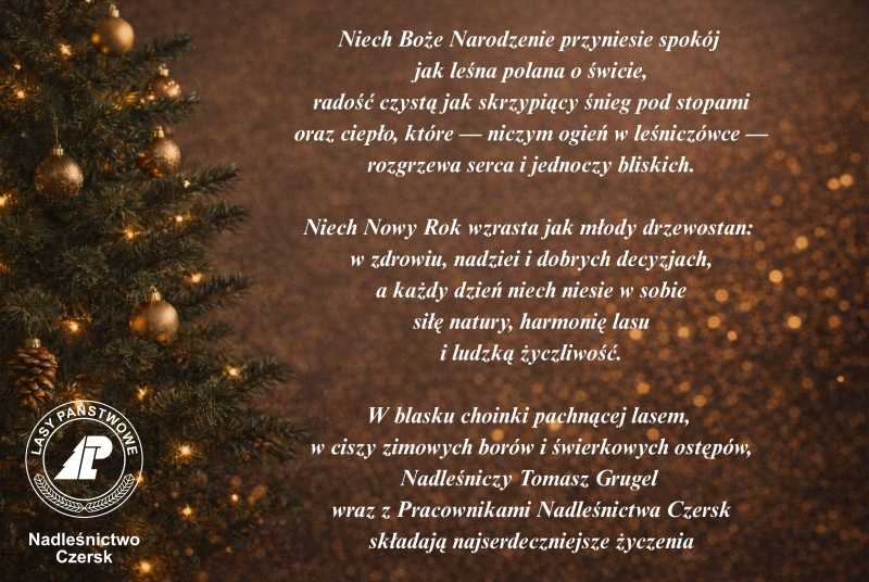 Życzenia świąteczne od Nadleśnictwa Czersk