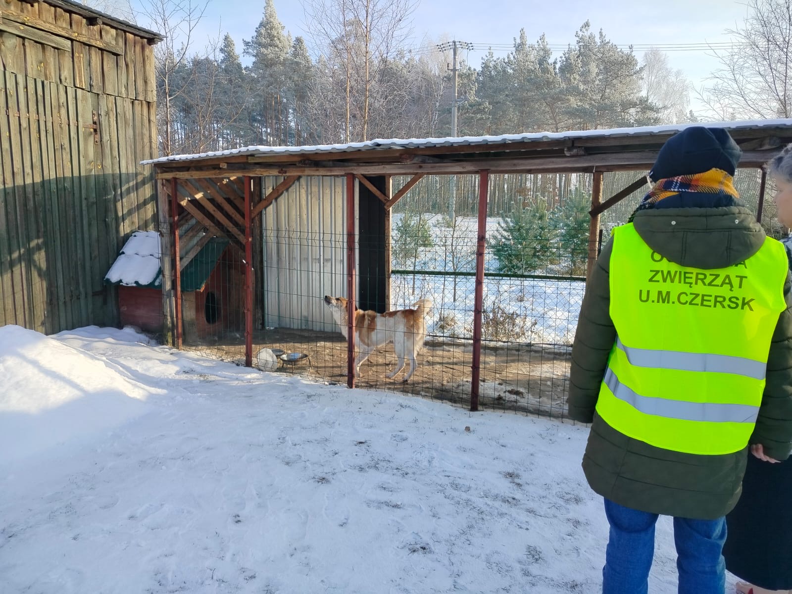 Pracownicy Urzędu Miejskiego w Czersku kontrolują warunki utrzymania psów zimą