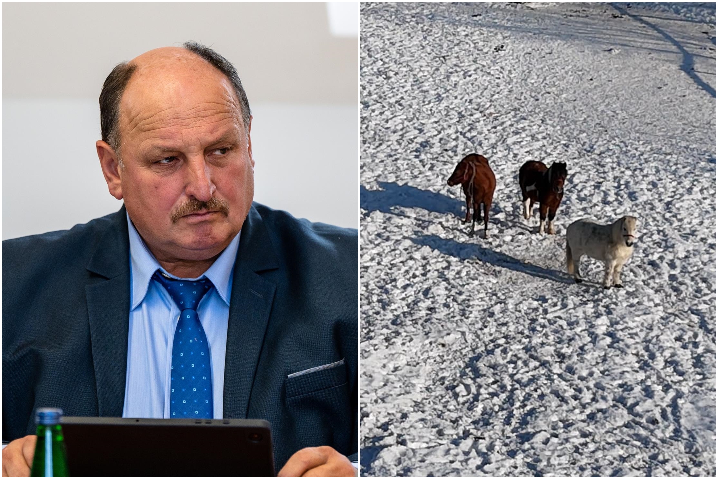 Czy radny z gminy Czersk powinien stracić swój mandat?