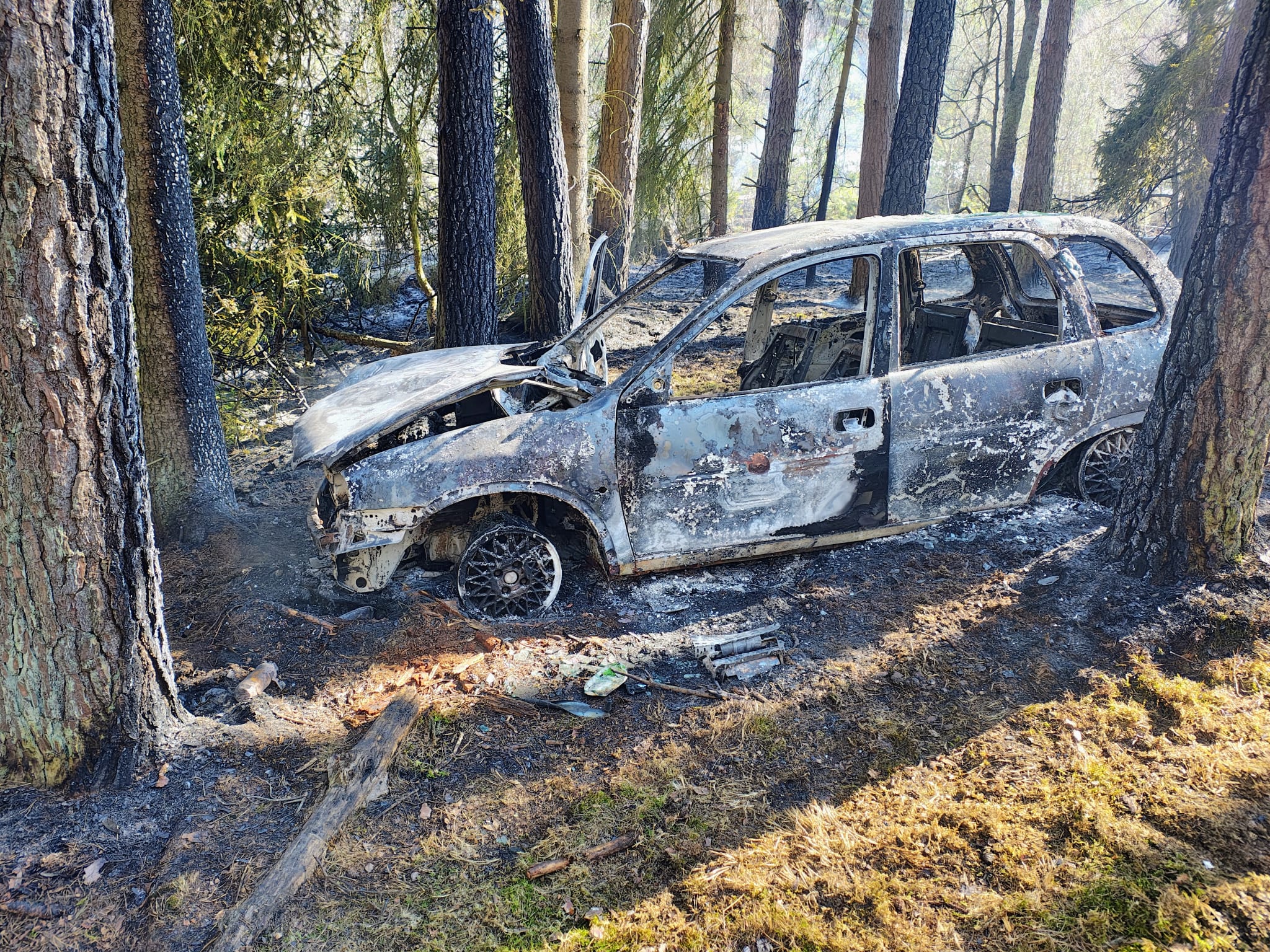 Ktoś podpalił samochód w środku lasu? Policja prowadzi dochodzenie (FOTO)