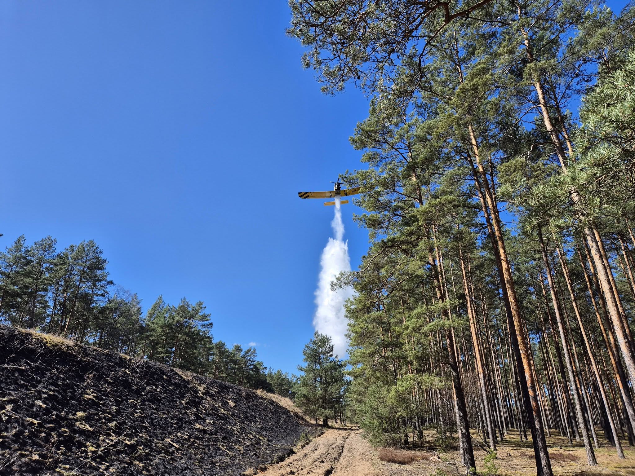 Pożary przy torowiskach na trasie Czersk - Chojnice. Szybka akcja strażaków zapobiegła stratom w lasach (FOTO)