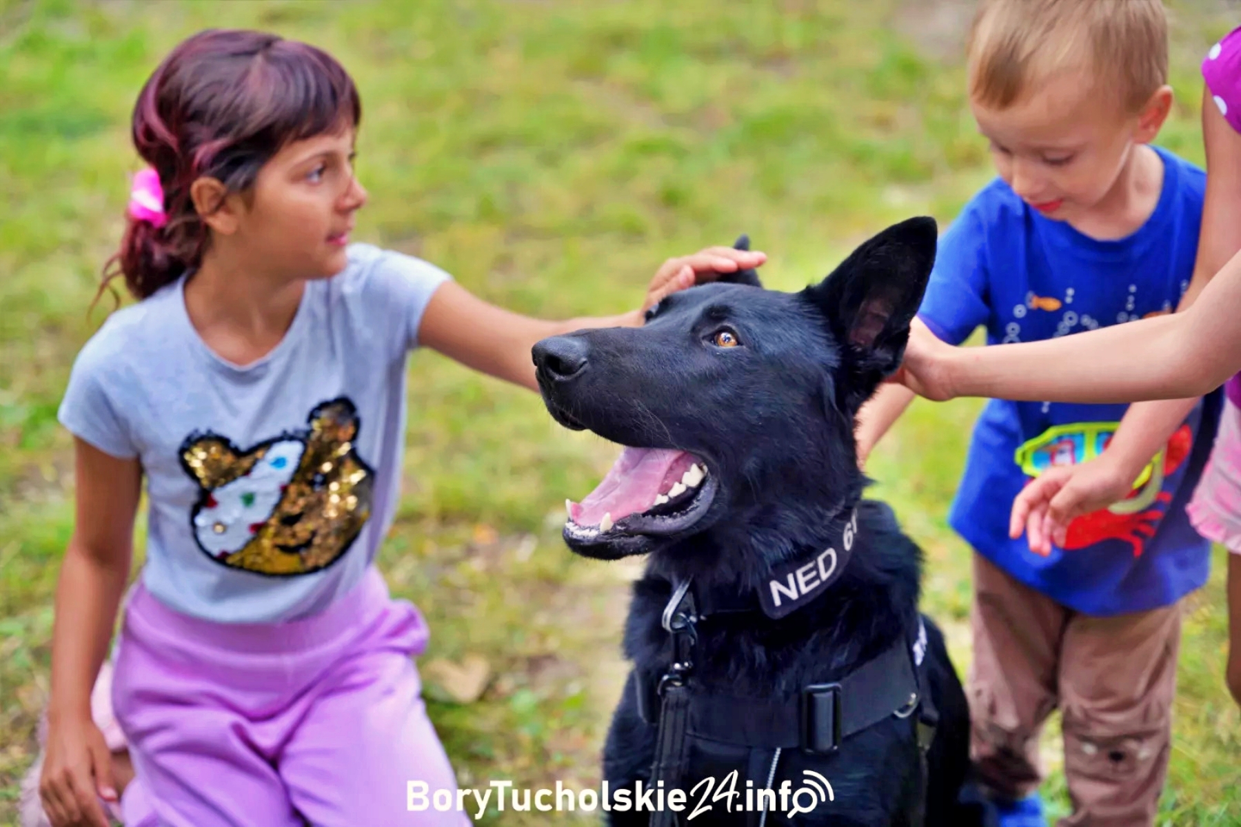 Dziś święto piesków. Nie zapominajmy o tych, które czekają na dom
