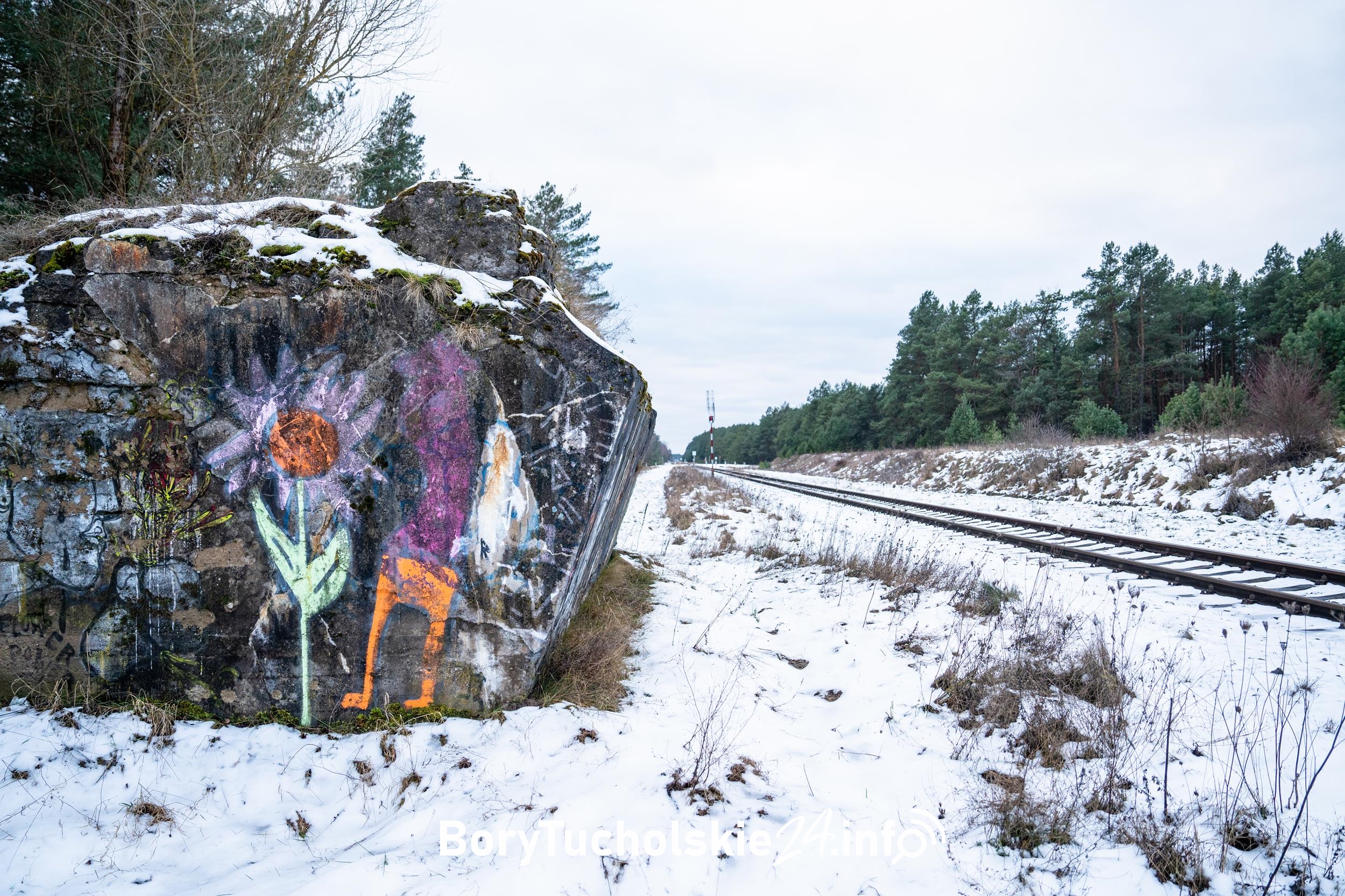 Zarwany most Gutowiec