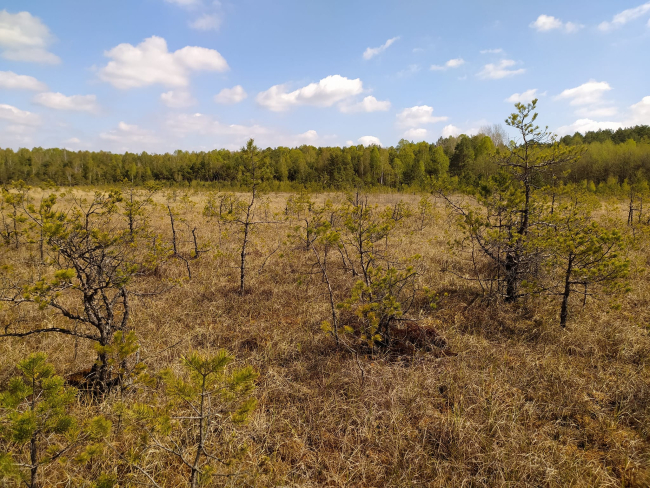 Nowe rezerwaty przyrody w naszym regionie