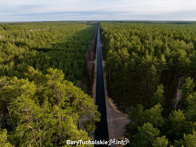 Przyszła wiosna w Bory Tucholskie (WIDEO)
