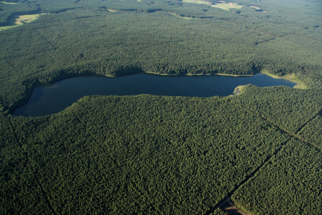 Wydłużenie zakazu wstępu na szlak w rezerwacie „Jezioro Piaseczno”