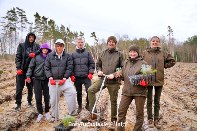Młodzież oraz dorośli wspólnie sadzili las w Nadleśnictwie Czersk (FOTO, WIDEO)