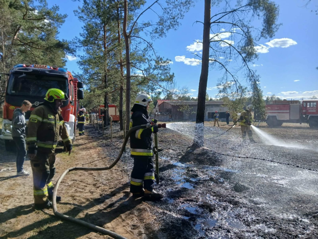 Pożar w lesie w Klocku. Strażacy obronili zabudowania (FOTO)