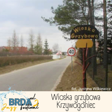 Zdjęcie 10