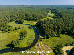 Zdjęcie 6