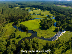 Zdjęcie 11
