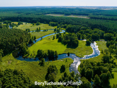 Zdjęcie 12