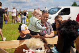 Zdjęcie 31