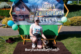 Zdjęcie 37