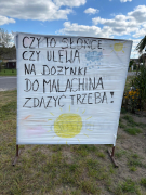 Zdjęcie 10