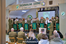 Zdjęcie 97