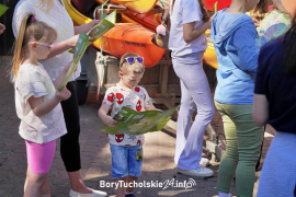 Zdjęcie 8