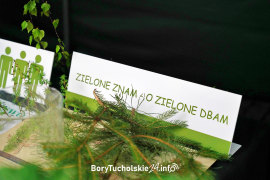 Zdjęcie 85