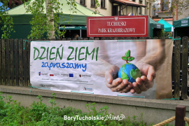 Zdjęcie 2