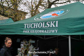 Zdjęcie 5