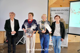 Zdjęcie 133