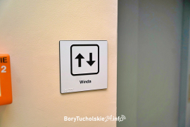 Zdjęcie 100
