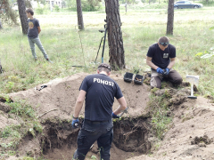 Zdjęcie 5