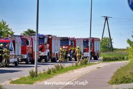 Zdjęcie 113