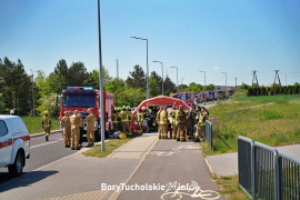 Zdjęcie 114
