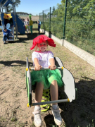 Zdjęcie 21