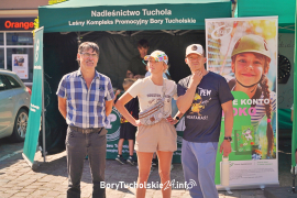 Zdjęcie 130