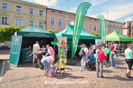 Zdjęcie 173