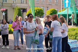 Zdjęcie 291