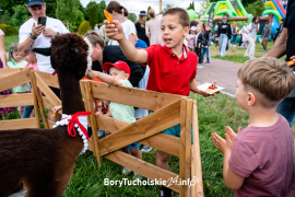 Zdjęcie 24