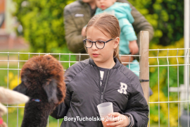 Zdjęcie 18