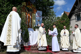 Zdjęcie 125