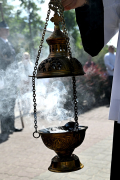 Zdjęcie 181
