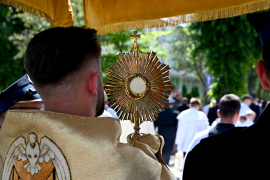Zdjęcie 162