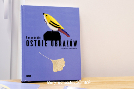 Zdjęcie 6