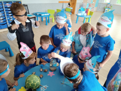 Zdjęcie 10