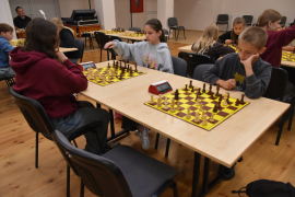 Zdjęcie 15