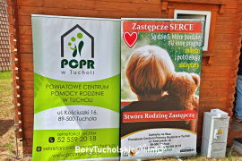 Zdjęcie 17
